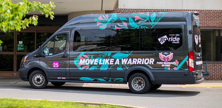 Image of Warriors In Pink van