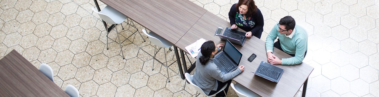 Three people working with laptops in cafeteria