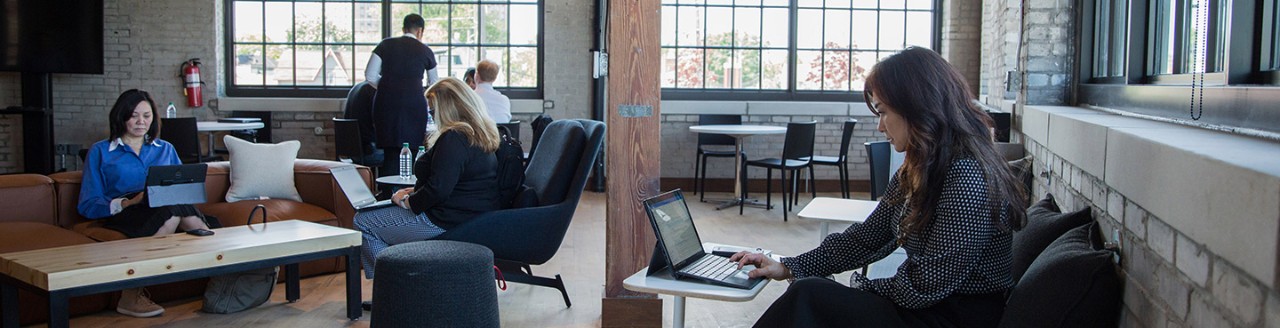 Image of people using laptops