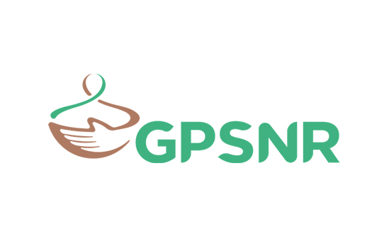 GPSNR logo