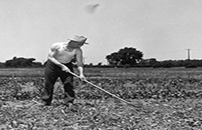 man and woman tending crops