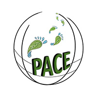 FastPACE logo