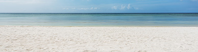 A beach