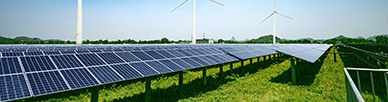 Solar panels and wind turbines