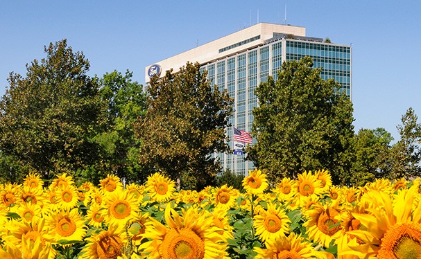 Image of Dearborn campus building with sunflowers