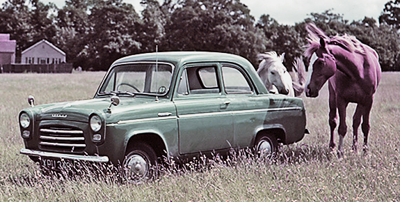 1950s Ford in a field with horses
