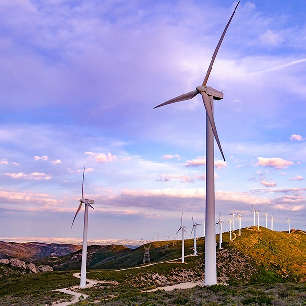 A wind farm