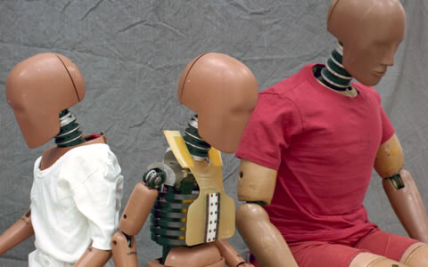 A “family” of crash test dummies