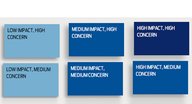 Materiality Analysis