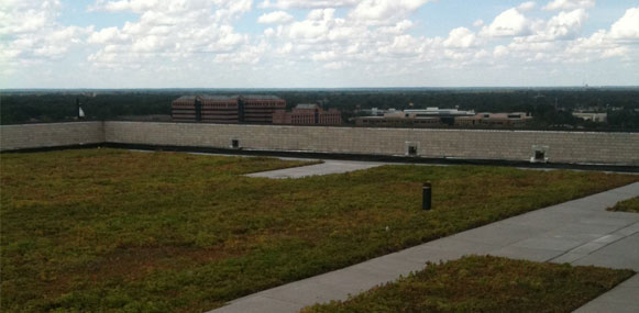 Ford World Headquarters Green Roof - Dearborn, Michigan