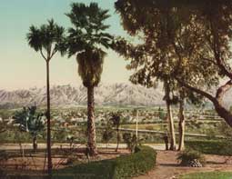 Image of: Snow and palms at Pasadena, California