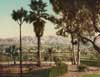 Image of: Snow and palms at Pasadena, California