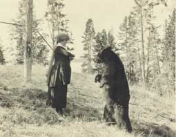 Image of: "Flirtation," woman and bear at Yellowstone National Park, Wyoming