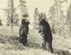 Image of: "Flirtation," woman and bear at Yellowstone National Park, Wyoming