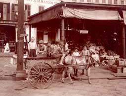 Image of: Boys on Donkey Cart, Street Corner of the French Market, New Orleans, Louisiana