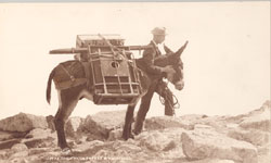 Image of man and donkey--the photographer's assistants