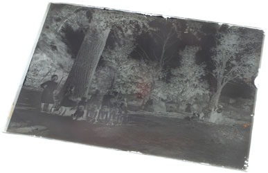 Image of glass plate negative