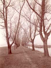 Image of: "Willow Avenue," Star Island Waterfront, St. Clair Flats, Michigan