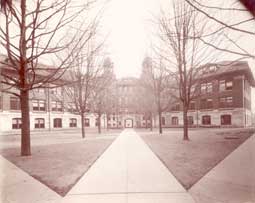 Image of: The Diag, University of Michigan, Ann Arbor