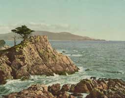 Image of: Midway Point near Monterey, California