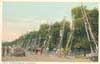 Image of: Men Picking Oranges, California