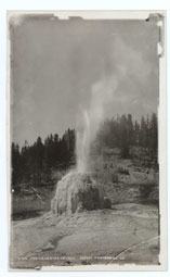 Image of  Longe Star Geyser