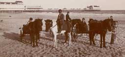 Image of: Boys with pony carts, Atlantic City, New Jersey