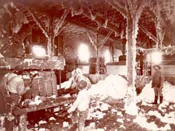 Image of: Cotton Gin Workers, Dahomey, Mississippi