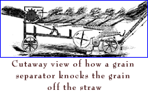 Cutaway view of how a grain separator knocks the grains off the straw